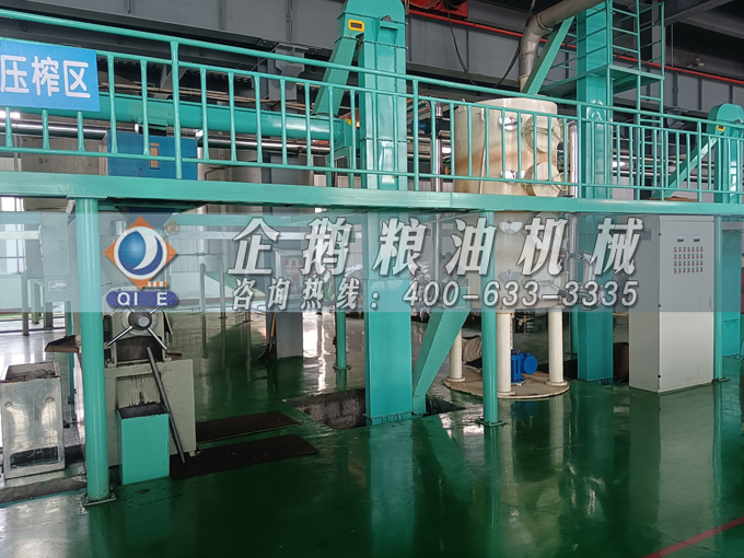企鵝牌茶籽油雙螺桿榨油機，用心制造獲得客戶認可(圖3)
