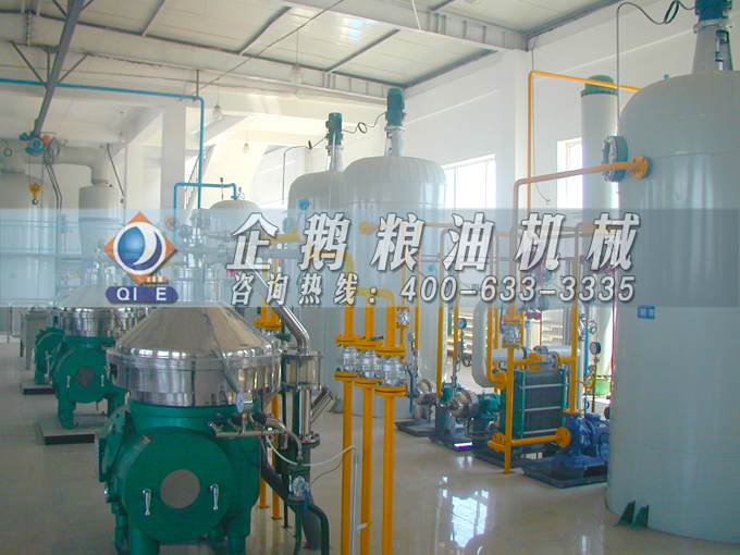 如何投資建設棕櫚油加工廠？企鵝糧油機械在線為您答疑解惑(圖2)