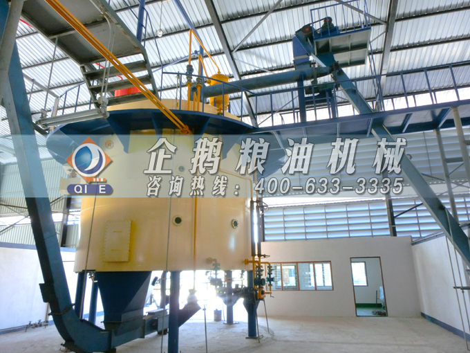 如何投資建設棕櫚油加工廠？企鵝糧油機械在線為您答疑解惑(圖5)