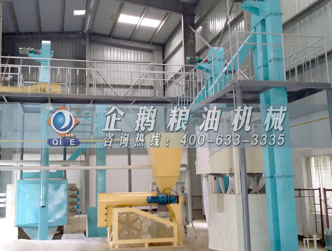 如何投資建設棕櫚油加工廠？企鵝糧油機械在線為您答疑解惑(圖4)