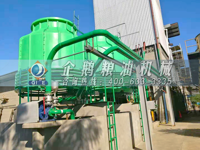 如何投資建設棕櫚油加工廠？企鵝糧油機械在線為您答疑解惑(圖3)